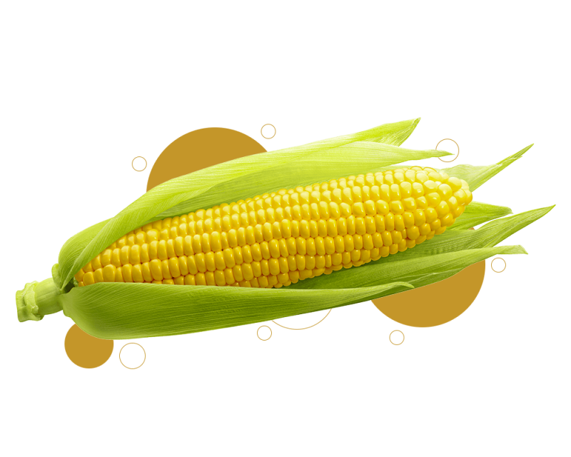 js ewers product sweetcorn