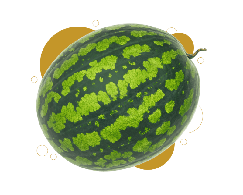 js ewers product melon