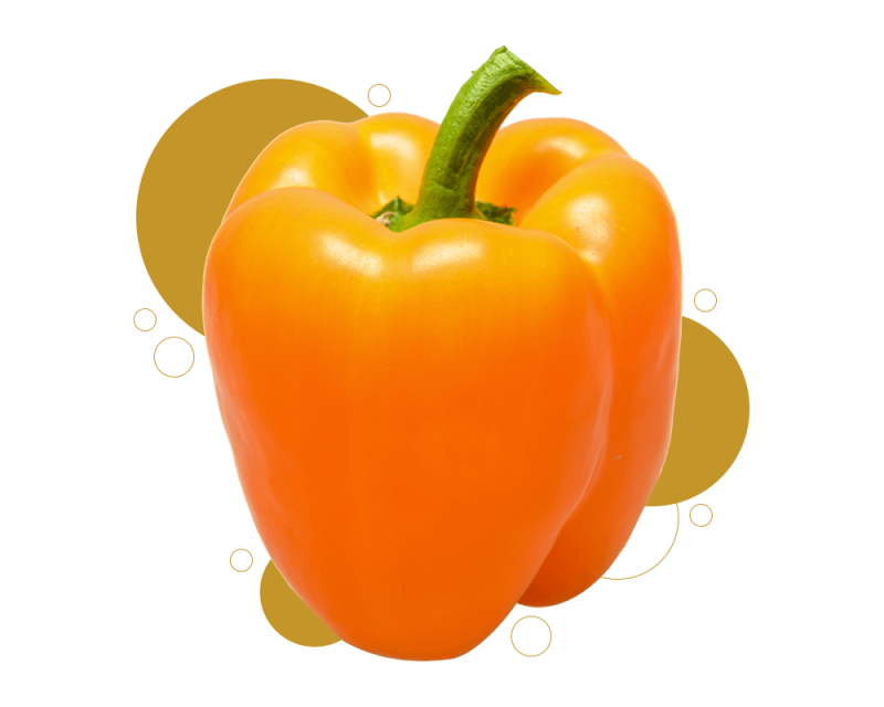 js ewers product capsicum single v2